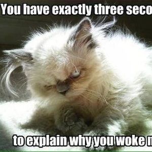 Meet your Posher, Lonnie